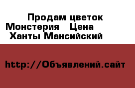 Продам цветок Монстерия › Цена ­ 6 000 - Ханты-Мансийский  »    